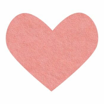 georgia peach wool felt