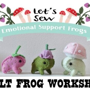 felt strawberry and mushroom frog workshop maine